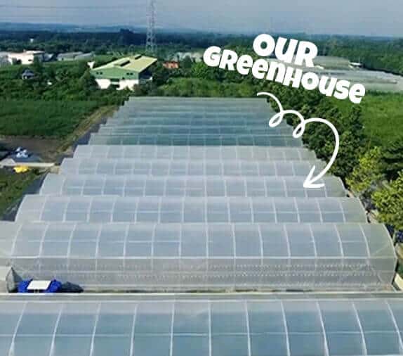 Aerial view of a large rectangular greenhouse with semi-transparent roofing, labelled "our greenhouse," surrounded by trees in a rural area.