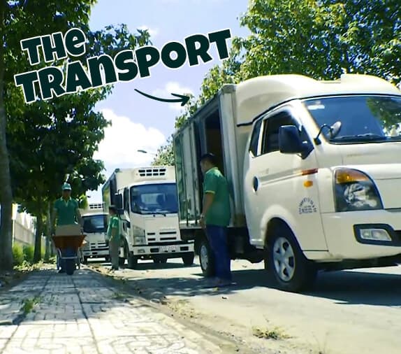 Workers loading cartons into a delivery truck on a sunny street, with a large caption "the transport" overlaid.