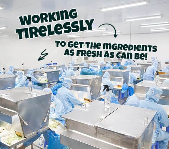 Workers in protective clothing process food in a clean, industrial kitchen with a sign saying "working tirelessly to get the ingredients as fresh as can be!.